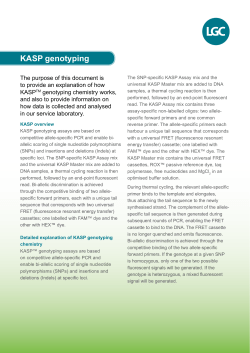 KASP genotyping