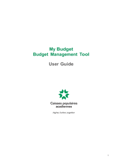 My Budget Budget Management Tool User Guide