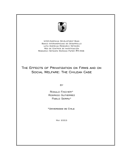 The Effects of Privatization on Firms and on Social Welfare: The