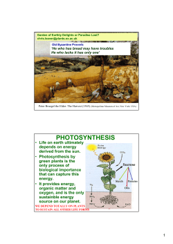 PHOTOSYNTHESIS - Sustainable Development Knowledge Platform