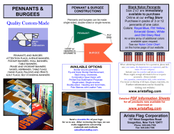 Pennants and Burgees - Arista Flag Corporation