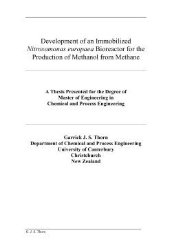 Development of an Immobilized Nitrosomonas