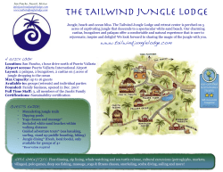 Tailwind Jungle Lodge Brochure