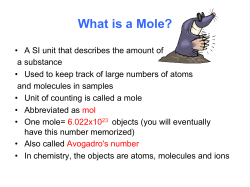 What is a Mole? - Shirley A. Crenshaw, PhD