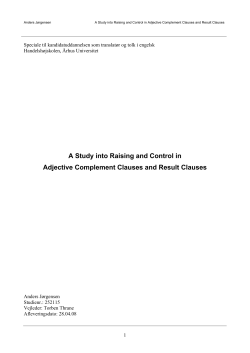 A Study into Raising and Control in