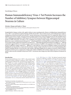 Human Immunodeficiency Virus-1 Tat Protein Increases the Number