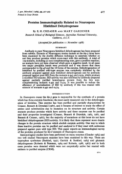 Proteins Immunologically Related to Neurospora