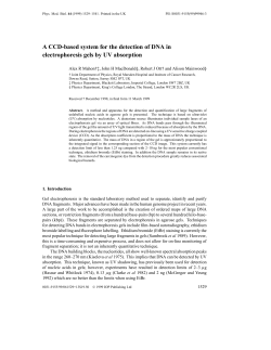 A CCD-based system for the detection of DNA in