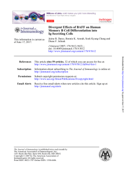 Ig-Secreting Cells Memory B Cell Differentiation into Divergent
