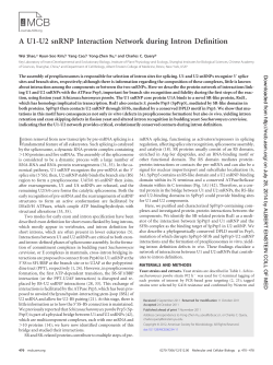 A U1-U2 snRNP Interaction Network during Intron Definition