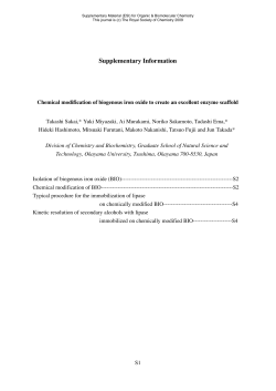 Chemical modification of biogenous iron oxide to create an excellent
