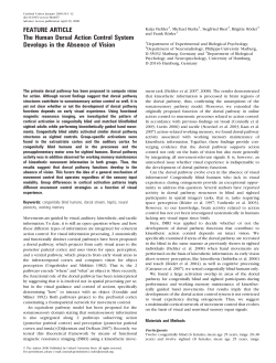 The Human Dorsal Action Control System Develops in the Absence