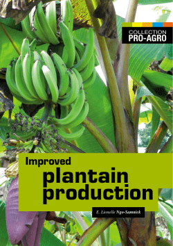 Improved plantain production - CTA Publishing
