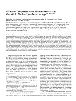 Effect of Temperature on Photosynthesis and Growth in