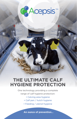 THE ULTIMATE CALF HYGIENE PROTECTION