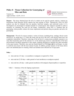 Policy 8 &ndash; Tissue Collection for Genotyping of Mice and Rats