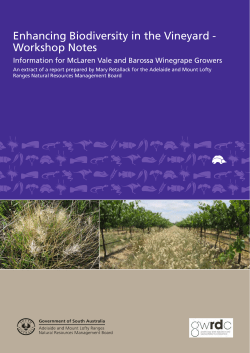 Enhancing Biodiversity in the Vineyard - Workshop