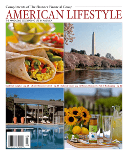 american lifestyle