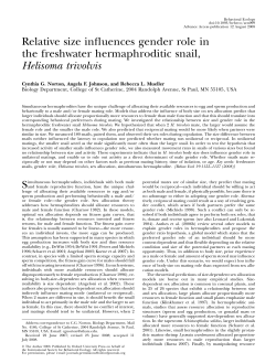 Relative size influences gender role in the