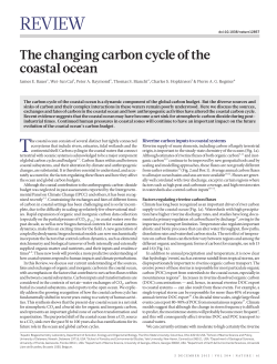 The changing carbon cycle of the coastal ocean.