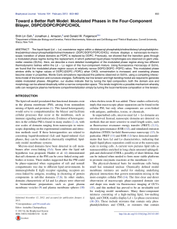 Toward a Better Raft Model: Modulated Phases in