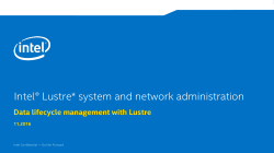 Data Lifecycle Management with Lustre* Systems