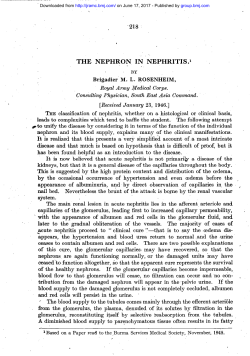 the nephron in nephritis.1 - Journal of the Royal Army Medical Corps