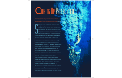 unlight does not exist at the base of the Juan de Fuca Ridge &ndash;7,500