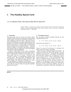 I: The Healthy Spinal Cord