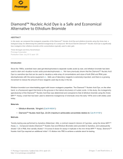Diamond&trade; Nucleic Acid Dye is a Safe and Economical Alternative