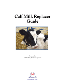 Calf Milk Replacer Guide
