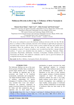 Molluscan Diversity in River Sip- A Tributary of River