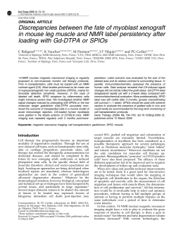 Discrepancies between the fate of myoblast xenograft in