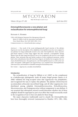 a new phylum and reclassification for entomophthoroid fungi