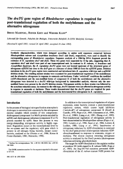 The draTG gene region of Rhodobacter capsulatus is
