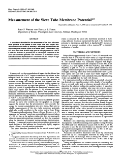 Measurement of the Sieve Tube Membrane Potential" 2