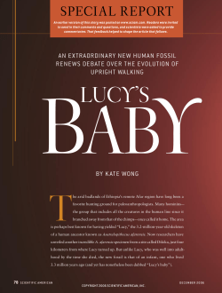 Lucy`s Baby