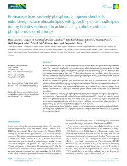 Proteaceae from severely phosphorusimpoverished soils