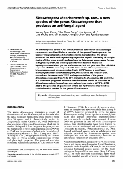 species of the genus Kitasatospora that produces an antifungal agent