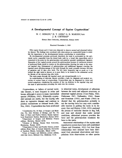 A Developmental Concept of Equine Cryptorchism1