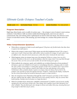 Teacher`s Guide Ultimate Guide: Octopus