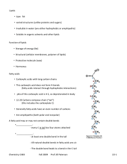 Lipids • Lipo: fat • varied structures (unlike proteins and sugars
