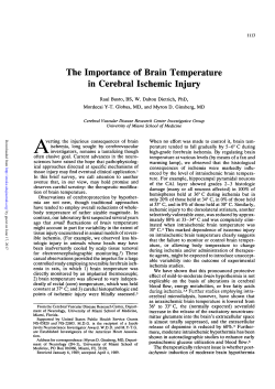 The Importance of Brain Temperature in Cerebral Ischemic