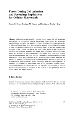 Forces During Cell Adhesion and Spreading: Implications for