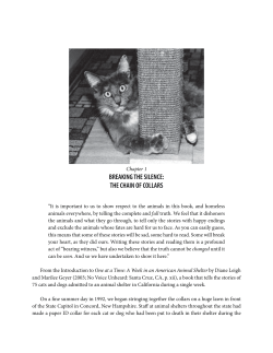breaking the silence: the chain of collars
