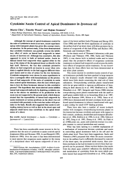 Cytokinin/Auxin Control of Apical Dominance in Ipomoea nil