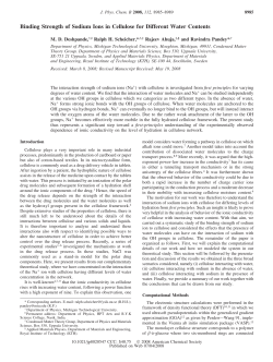 Binding Strength of Sodium Ions in Cellulose for Different Water