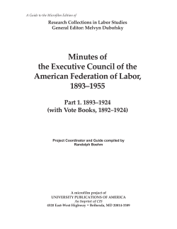 Minutes of the Executive Council of the American Federation of