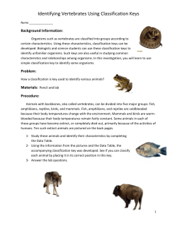 Identifying Vertebrates Using Classification Keys