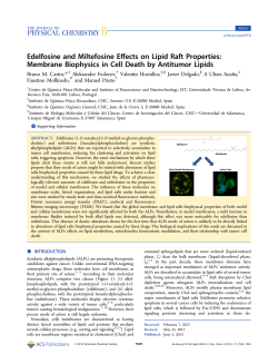 Edelfosine and Miltefosine Effects on Lipid Raft Properties